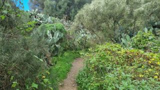 2024-01-GranCan-Barranco_de_los_Cernicalos-004.jpg